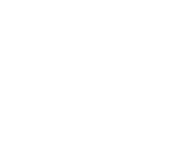 Goron Sécurité privée